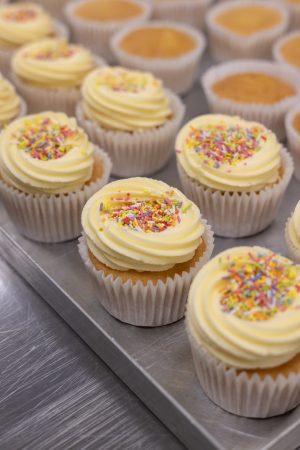 Assorted Cupcakes