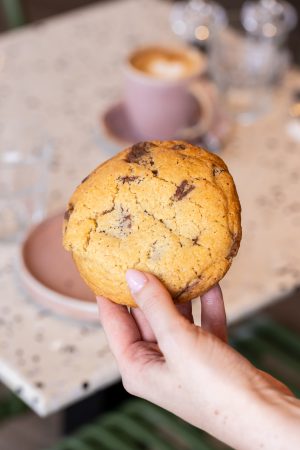 Chocolate Chip Cookie